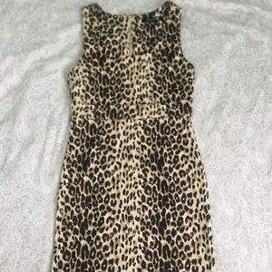 Animal Print Bodycon Dress